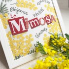Le Mimosa