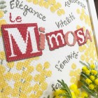 Le Mimosa