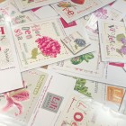 Pack Côté jardin