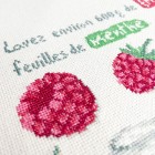 Mon smoothie à la framboise