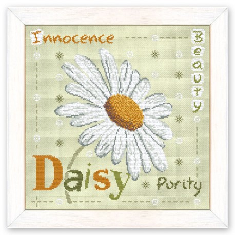 Daisy