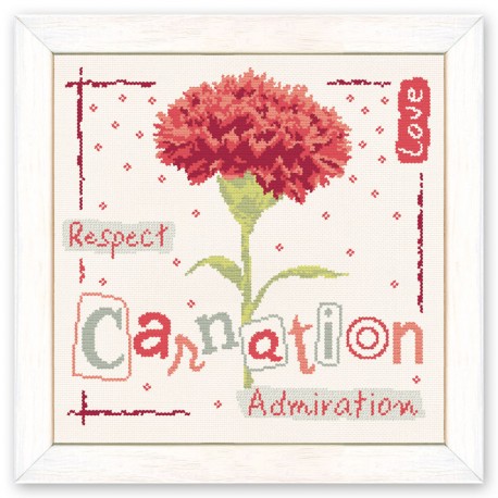 Carnation