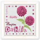 Pompom Dahlia