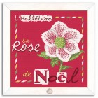 La Rose de Noël