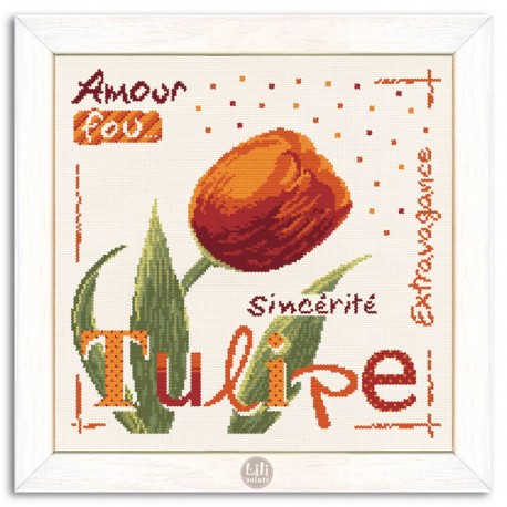 Tulipe