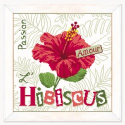 L'hibiscus